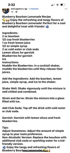 the recipe for blueberry lemonade is shown in this screenshot from an iphone