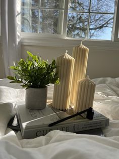 two candles sitting on top of a bed next to a potted plant and book