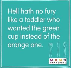 a green sign that says hell hath no fury like a toddler who wanted the green cup instead of the orange one