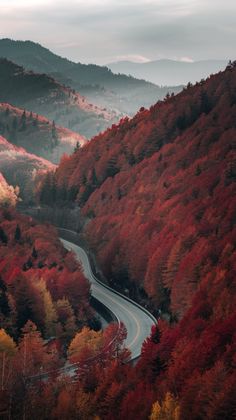 a winding road surrounded by colorful trees in the mountains