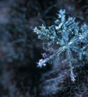 a snowflake is shown in the dark