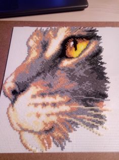 a close up of a cat's face on a place mat