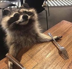 a raccoon sitting on top of a wooden table next to a fork and knife