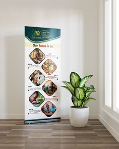 a plant sitting next to a sign in a room with wood floors and white walls