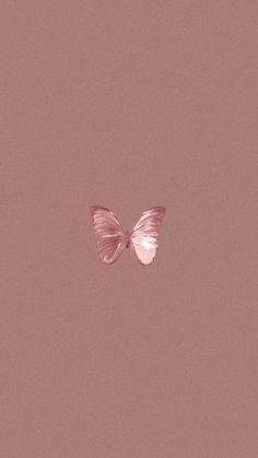 a pink butterfly flying in the air on a pink background with no one around it