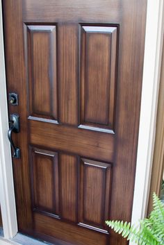 a close up of a door with a plant