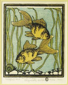 two yellow fish swimming in the water