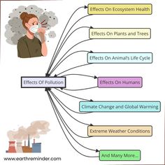 a diagram showing the effects of pollution on people's faces and how they can help them