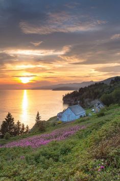 the sun is setting over an island with purple flowers in front of it and some houses