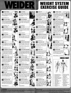 an instruction manual for the weider exercise system