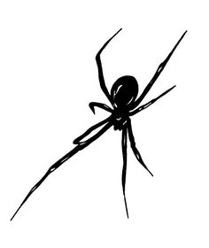 a black and white drawing of a spider