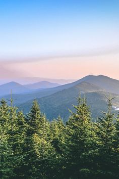 trees in the foreground and mountains in the background with blue sky above them at sunset