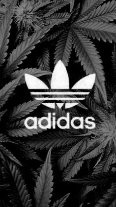 iPhone Wallpapers — iPhone 6 adidas wallpaper 2 Adidas Backgrounds, Adidas Wallpaper Iphone, Adidas Iphone Wallpaper, Adidas Wallpaper, Adidas Wallpapers, Ios Wallpaper, Easter Wallpaper, Wallpaper Tumblr, Nike Wallpaper