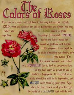 a poem written in the language of colors of roses