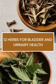 Discover the power of herbs for bladder and urinary health with our collection of natural remedies. From treating UTIs to supporting kidney and bladder functions, these medicinal herbs are here to assist you on your journey to better urinary system health. Explore our herbal blends like Kidney and Bladder Cleanse Tea, Uva-Ursi for Bladder Health, and more. Say goodbye to recurrent UTIs with effective herbal solutions, including Ayurvedic tips for urinary incontinence. Herbs For Incontinence, Kidney Cleanse Herbs, Herbs For Urinary Health, Urinary Health For Women, Tea For Bladder Health, Gal Bladder Cleanse, Herbs For Bladder Health, Uva Ursi Benefits, Herbs For Kidney Health