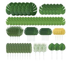 a bunch of different types of green leaves