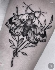 a black and white photo of a butterfly on the thigh, with leaves around it