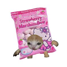 a bag of strawberry marshmallows with a stuffed animal in it's mouth