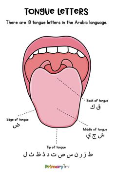 an arabic poster with the words tongue letters and their corresponding parts in english, arabic and arabic