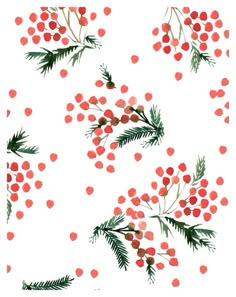 red berries and green leaves on a white background