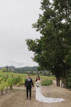 a bride and groom walking down a dirt road in the middle of a vineyard area