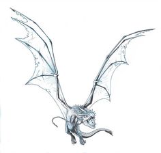 a drawing of a dragon flying through the air