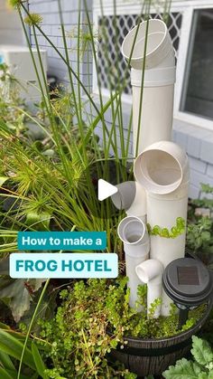 there is a planter that has many cups in it and the words how to make a frog hotel