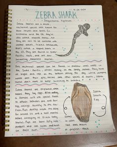 a notebook with an image of a zebra shark and other animals on it's page