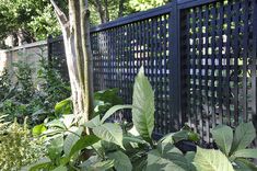 there is a black fence in the middle of some plants and trees on the other side