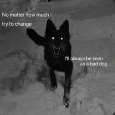 a black dog running through the snow with its mouth open