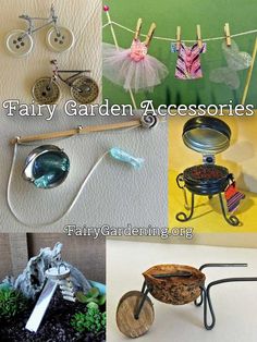 there are many different items that can be found in the garden