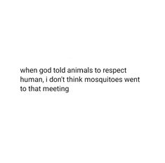 a white background with the words, when god told animals to respect human, i don't think mosquitoes went to that meeting