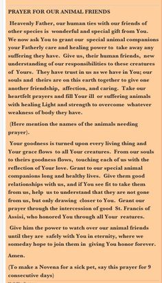 an orange and black page with the words prayer for our animal friends