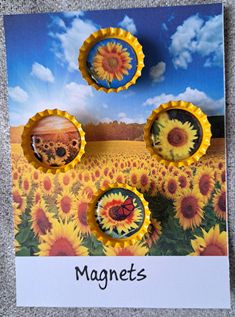 the magnets are made to look like sunflowers