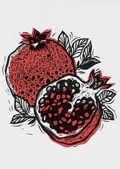 a drawing of pomegranates and leaves on a white background