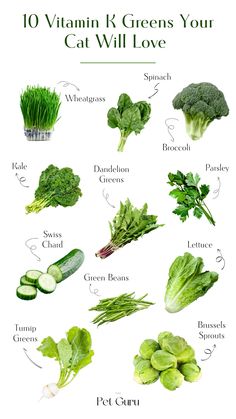 the top ten green foods that are high in vitamin