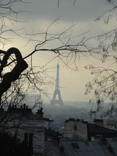 the eiffel tower is in the distance behind some bare trees and rooftops