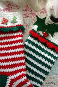 a white cat laying on top of a bed next to two crocheted christmas stockings