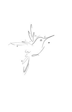 a black and white drawing of a hummingbird