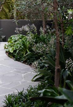 a garden with lots of plants and trees