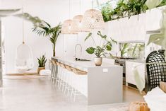 a white kitchen with plants and hanging lights