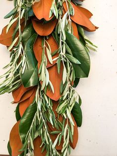 an orange and green plant hanging on the wall