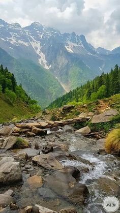 a stream running through a lush green forest filled valley with mountains in the background on a cloudy day