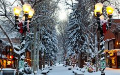 snow covered trees and benches in the middle of a snowy park with lights on them