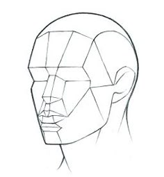 a drawing of a man's head with lines on the face and neck, viewed from the side