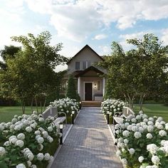 a house with white hydrangeas in front of it and a walkway leading to the front door