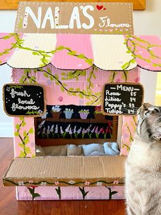 a cat sitting on the floor in front of a pink and white box with writing on it