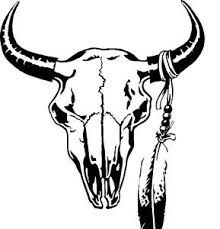 a bull skull with feathers on it's head