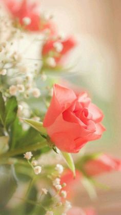 some pink flowers are in a vase with white flowers and green leaves on the side