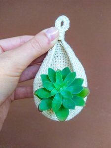 a person is holding a small bag with a succulent plant in it's pouch